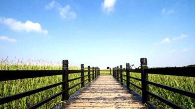 ​崇明岛旅游攻略一日游