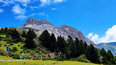 ​海原大地震，鲁迅亲历，震前疯子反复高喊一句话，可无人相信