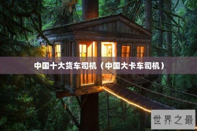 ​中国十大货车司机（中国大卡车司机）