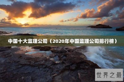 ​中国十大监理公司（2020年中国监理公司排行榜）