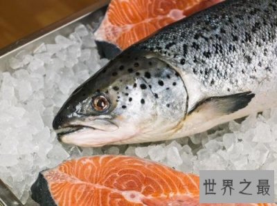 ​十大有益头发健康的食物，让你的头发更健康！