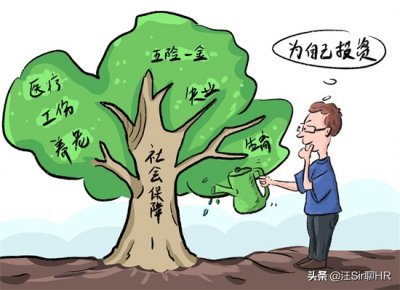 ​三险一金是什么意思（什么是五险两金？什么是三险一金？劳动者权益早知道）