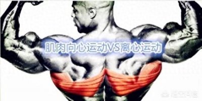 ​肌肉训练中，要了解什么叫离心收缩和向心收缩？