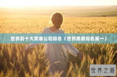 ​世界前十大黑客公司排名（世界黑客排名第一）
