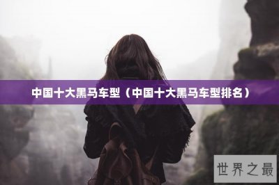 ​中国十大黑马车型（中国十大黑马车型排名）