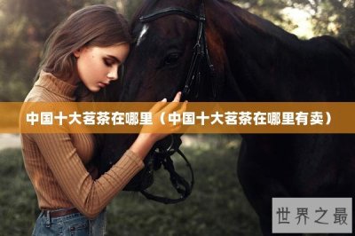 ​中国十大茗茶在哪里（中国十大茗茶在哪里有卖）