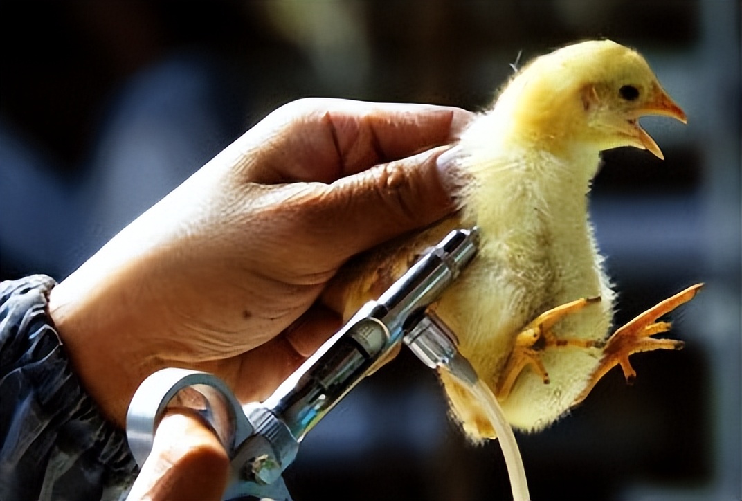 月11日是什么节日啊(历史上的今天——7月11日)"