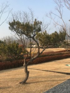 ​辨别方向的方法还有哪些（辨别方向的方法有哪些）