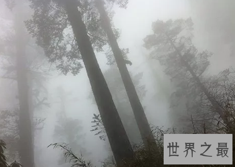 世界十大旅游禁地，美丽富饶的岛屿竟会吃人？