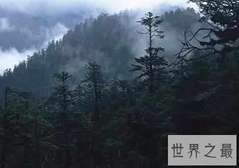 世界十大旅游禁地，美丽富饶的岛屿竟会吃人？