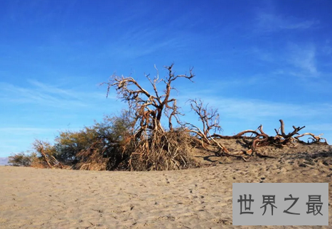 世界十大旅游禁地，美丽富饶的岛屿竟会吃人？