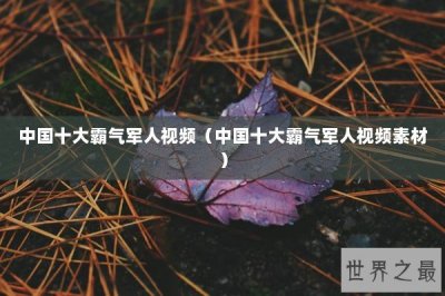 ​中国十大霸气军人视频（中国十大霸气军人视频素材）