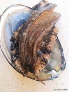 ​快速洗鲍鱼的正确方法，学会这样处理肉嫩汁鲜