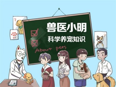 ​猫为什么喜欢吃鱼(都说猫咪爱吃鱼，那猫咪为什么会吃鱼呢？可以长期给猫咪吃鱼