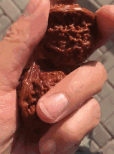 ​盘他是什么意思网络用语（“盘他！”，到底是个什么梗？）