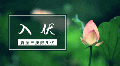 ​三伏天是什么意思是指哪个季节（三伏天是怎么确定的？）