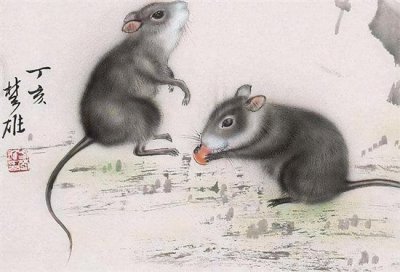 ​鼠年灾难多（鼠年多灾难？看完120年里鼠年发生的事，你就懂了）