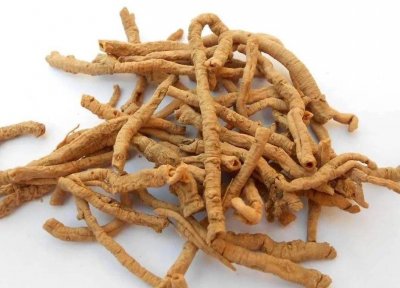 ​远志的功效与作用及食用方法 《本草精荟》：交通心肾