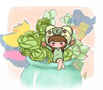 ​如何养多肉植物 养多肉，只需要这几个妙招，根壮叶茂不容易死