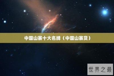 ​中国山寨十大名牌（中国山寨货）