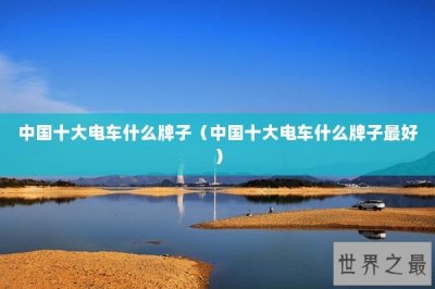 ​中国十大电车什么牌子（中国十大电车什么牌子最好）