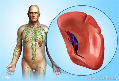 ​脾胃不好吃什么（多吃这5款加热后的水果）