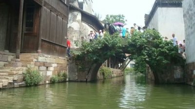 ​周庄和乌镇哪个更好玩 水乡，乌镇、同里、周庄、南浔、绍兴，哪个最好？