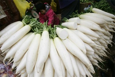 ​最近很火的韩国萝卜块的腌制方法，咬一口嘎嘣脆，成本不到5块，真好吃