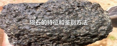 ​陨石的特征和鉴别方法及图片 玻璃陨石的特征和鉴别方法