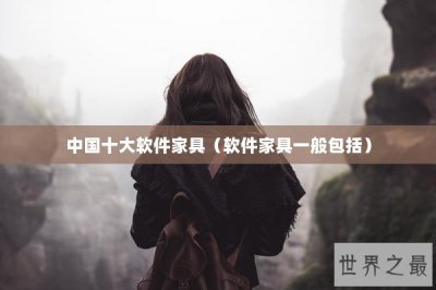 ​中国十大软件家具（软件家具一般包括）