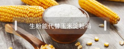 ​生粉能代替玉米淀粉吗