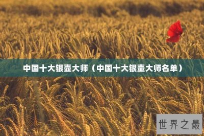​中国十大银壶大师（中国十大银壶大师名单）