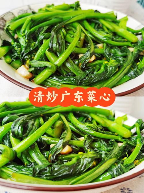 菜心的功效与作用及营养价值（菜心有什么功效与作用及营养价值）