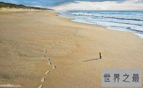 世界十大最长海滩，普腊亚卡西努海滩全长达到132英里！