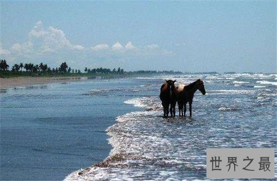 世界十大最长海滩，普腊亚卡西努海滩全长达到132英里！