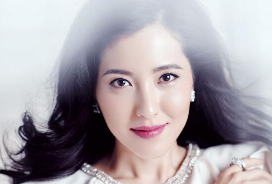 曾黎演过的电影