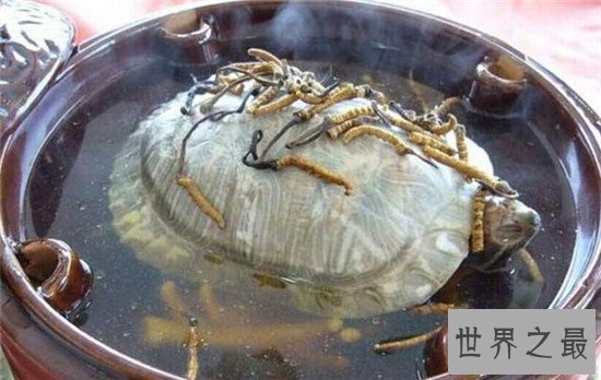 中国十大禁菜，你见过传说中的“三吱”吗？