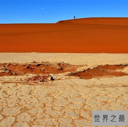 全球十大最迷人的原野之地排行榜，有人间天堂的体验