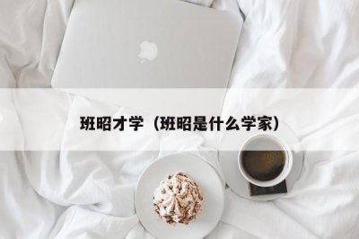 ​班昭才学（班昭是什么学家）
