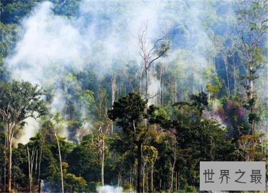 世界上雨量最多的国家,这个国家的降水是真多!