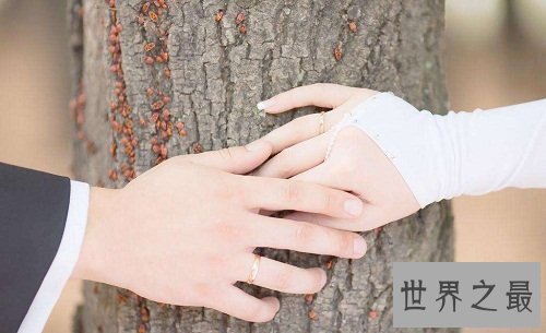 世界上最长久的婚姻,揭秘中国夫妻91年婚姻生活的奥秘!