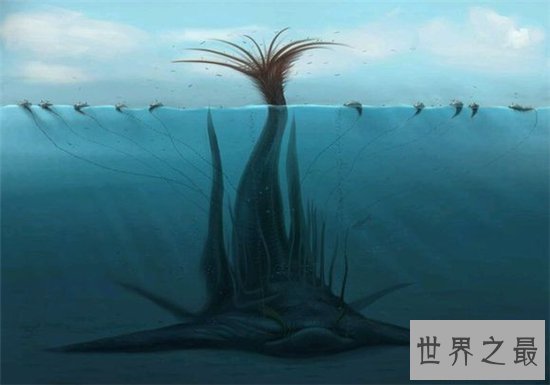 深海恐惧症三大发病原因,深海惊悚片会造成心理压力