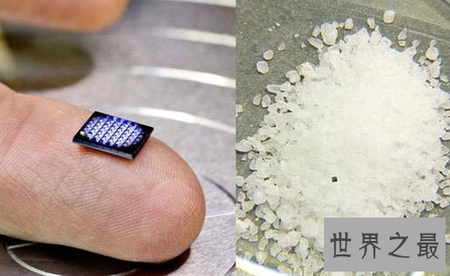 世界上最便宜的电脑,需要九美元就可以买到