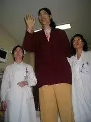 中国最高的人前十名是谁？姚明居然没有上榜