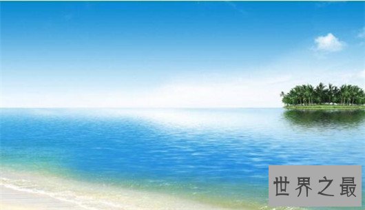 世界上最恶心的动物,浑身长满毛刺软乎粘腻