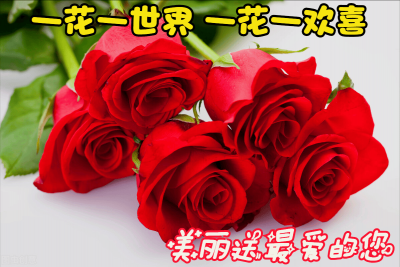 ​一花香十里 一花香十里更值满枝开