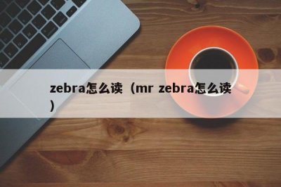 ​zebra怎么读（mr zebra怎么读）