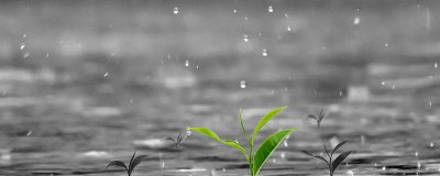 ​霜降的时候冷吗 霜降节气的温度是多少