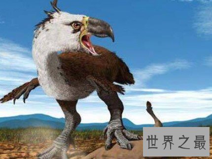 史上最大的鸟类,身高3米,重达400公斤