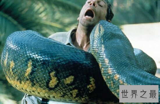 泰坦巨蟒的身体非常长,竟然达到了50.75米